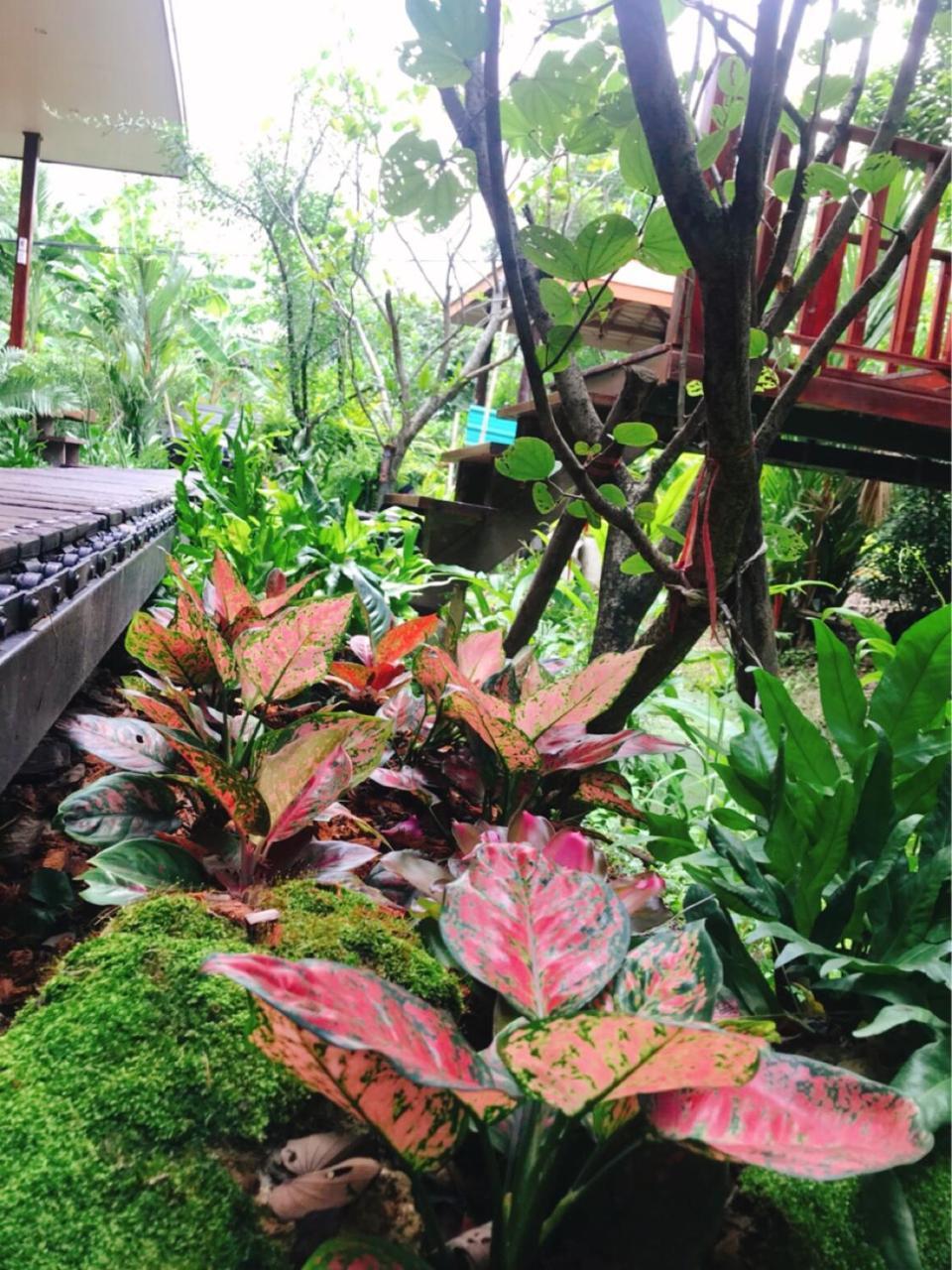 88 Homestay Bang Chak Extérieur photo